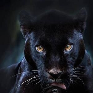 Meet your Posher, Tonya